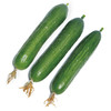 [庭院种子] 荷兰小黄瓜 "申绿03"黄瓜种子 商品缩略图0