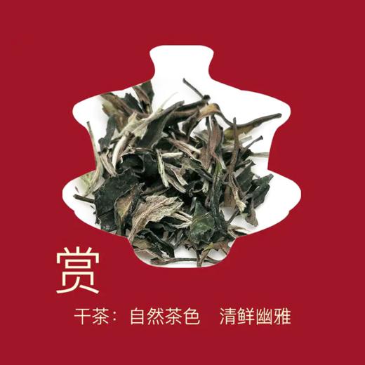 星宇茗茶 有机白茶（吉庆礼盒 2*100g） 商品图2