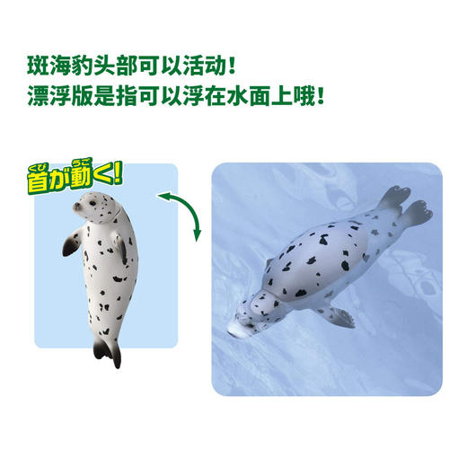 安利亚 - ANI-615453斑海豹（漂浮版） 商品图2