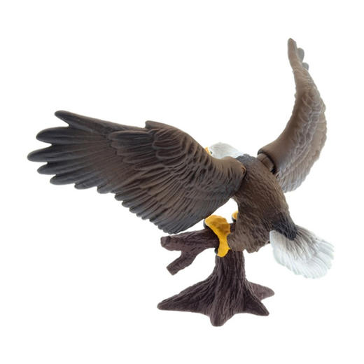 安利亚-ANI-139591鹰 商品图3