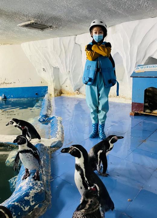 【2H公益时长】企鹅讲堂+与企鹅近距离互动拍照+制作饵料喂食企鹅+观察企鹅生活习性，开启你的海底奇遇！ 商品图1