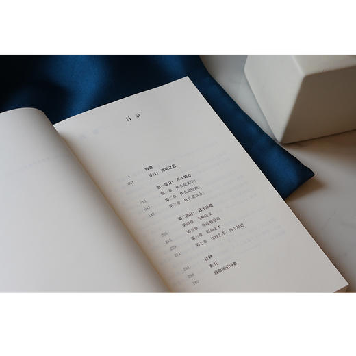 缪斯之艺：泛美学研究//当代学术棱镜译丛·视觉文化与艺术史系列 商品图13