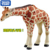 安利亚-ANI-871057长颈鹿（儿童） 商品缩略图2