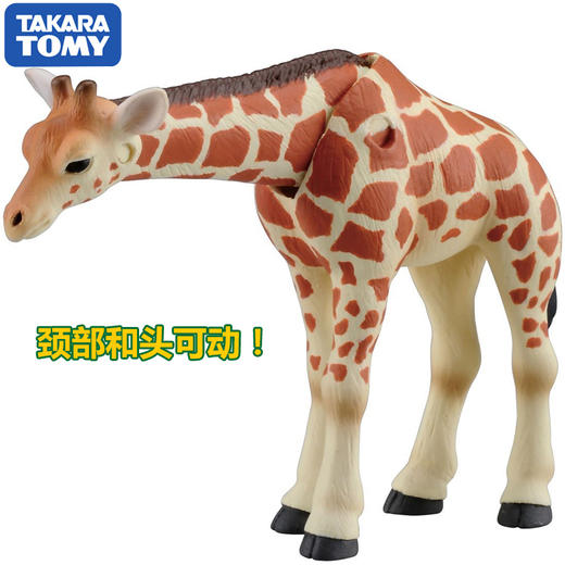安利亚-ANI-871057长颈鹿（儿童） 商品图2