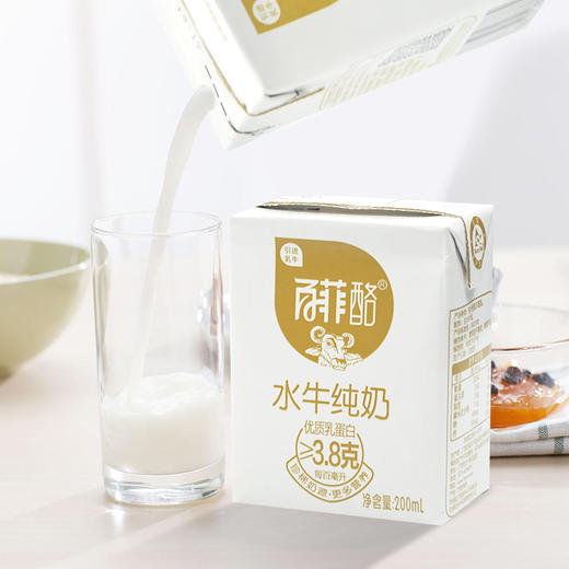 百菲酪200ml*12/箱 水牛纯奶 商品图2