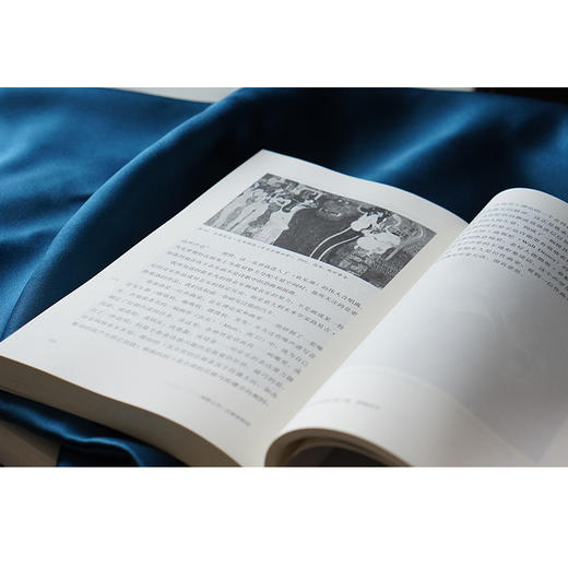 缪斯之艺：泛美学研究//当代学术棱镜译丛·视觉文化与艺术史系列 商品图12