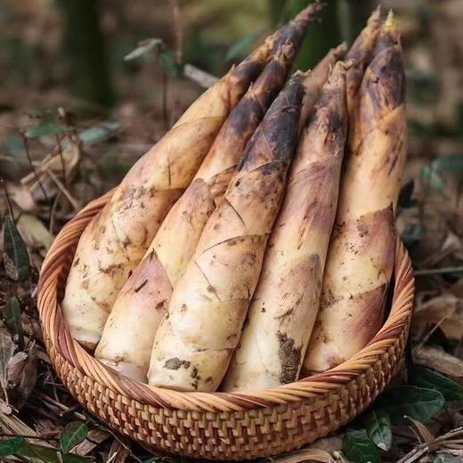 临安春笋 商品图0