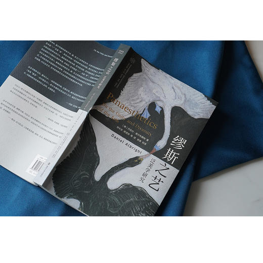 缪斯之艺：泛美学研究//当代学术棱镜译丛·视觉文化与艺术史系列 商品图9