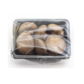 珍菇园有机香菇