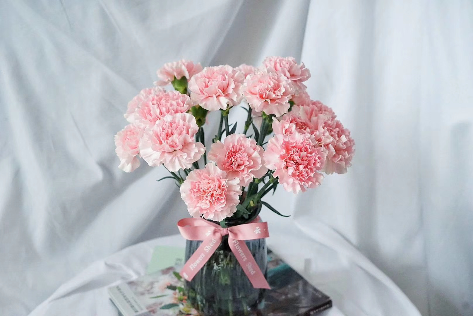 单头康乃馨,理想粉一扎20支