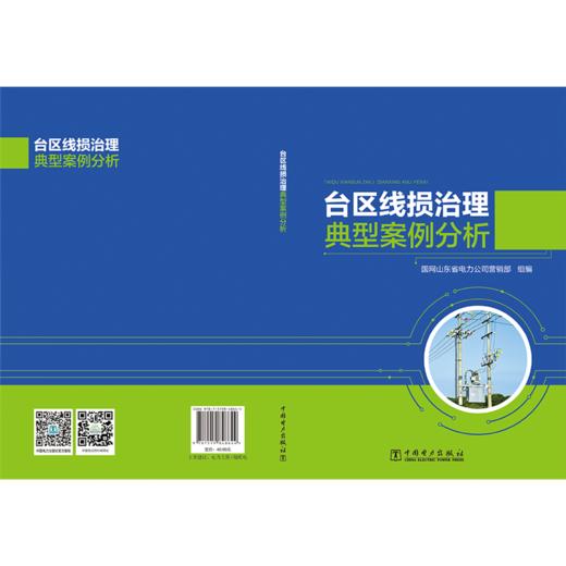 台区线损治理典型案例分析 商品图2