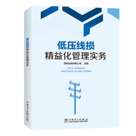 低压线损精益化管理实务