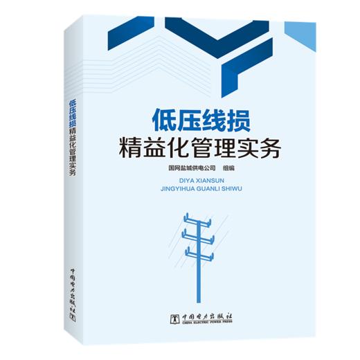 低压线损精益化管理实务 商品图0