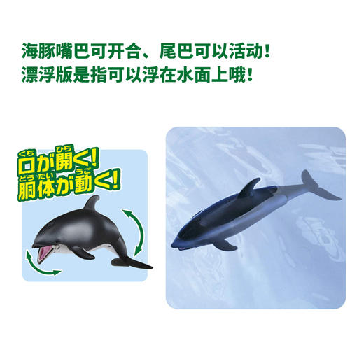 安利亚 - ANI-615446海豚（漂浮版） 商品图3