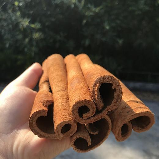 生态肉桂粉 | 半野生生长 | 甜品煲汤绝搭 | 公平贸易 * Ecological Cinnamon Powder 商品图3