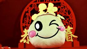 茶妈妈眨眼柑宝暖手枕/个