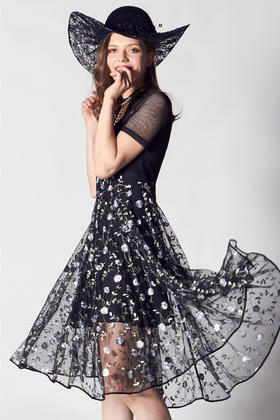 2S69311--黑色连衣裙--国王的虔诚--《智慧之光--波斯艺术》