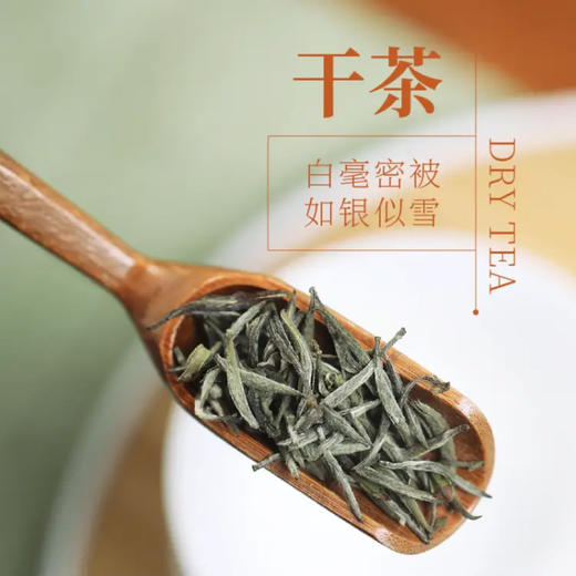 星宇茗茶 白毫银针 60g 商品图0