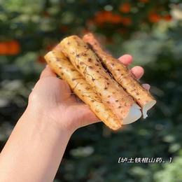 河南温县垆土铁棍山药 地标产品   新鲜现挖 肉质绵密 粉糯香甜