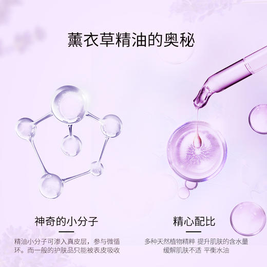 艾玛丝薰衣草精油10ml 商品图6