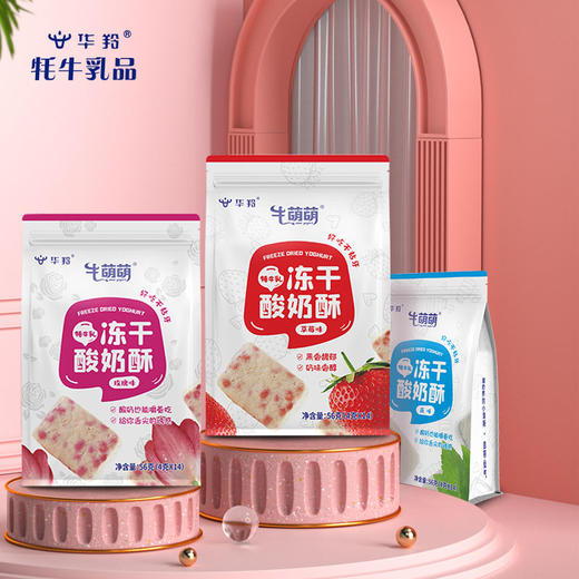 华羚牦牛乳冻干酸奶酥56克袋装 商品图2
