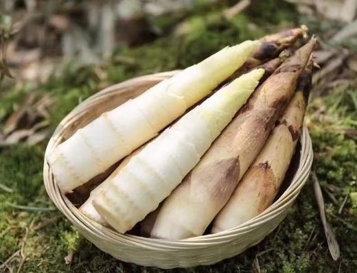 临安春笋 商品图10