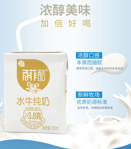 百菲酪200ml*12/箱 水牛纯奶 商品图1