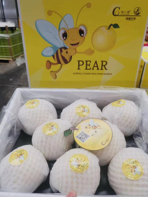 山西隰县小蜜蜂蜂蜜梨 商品图1