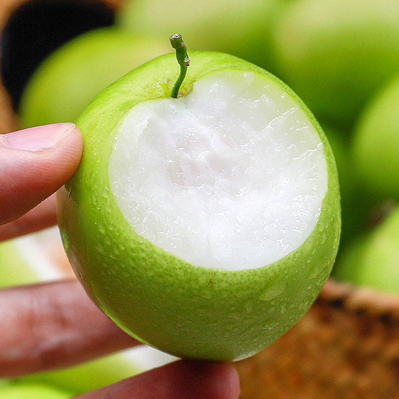 【福建贵妃蜜枣】 清脆爽口 鲜甜多汁 皮薄肉厚 3斤包邮