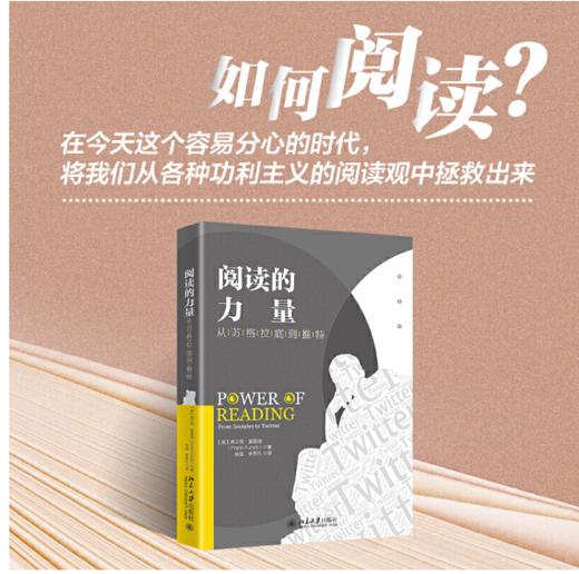 阅读的力量：从苏格拉底到推特 西方阅读文化领域的里程碑式著作 商品图1