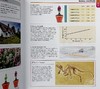 【中商原版】生物学 英文原版 DK-Supersimple: Biology 动植物 科普读物 DK 商品缩略图7