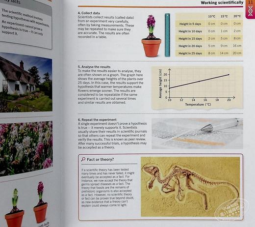 【中商原版】生物学 英文原版 DK-Supersimple: Biology 动植物 科普读物 DK 商品图7
