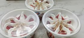 雀巢—圣代杯（草莓香草味）