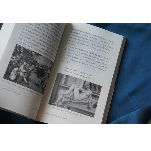 缪斯之艺：泛美学研究//当代学术棱镜译丛·视觉文化与艺术史系列 商品图10