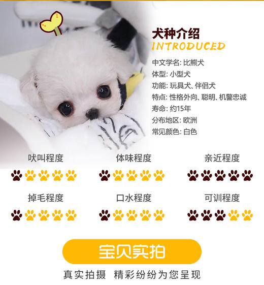 加多宝 商品图0