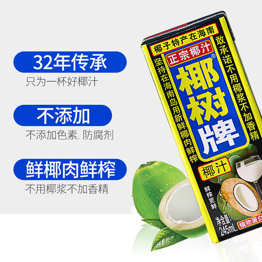 【整箱24盒】正宗椰树牌椰汁饮料1箱(245ml*24盒) 商品图3
