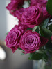 蓝莓多头玫瑰【我们相爱一生，一生还是太短】简小姐精选 复古浓郁气质紫红色多头玫瑰 蓝莓 10枝 2束包邮 下单5天内发货 商品缩略图9
