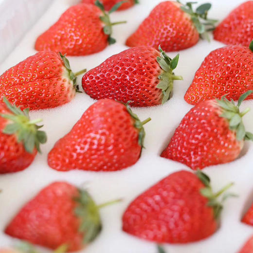 5天内发货 | iMeiMax 黑金轻奢版 丹东草莓 20颗/盒 个重≥40克 草莓界的roseonly[福利品] 商品图2