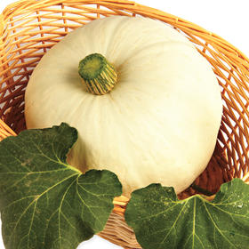 [专业种子] “李白”南瓜种子