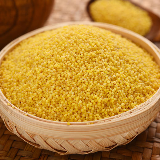 静若山红谷小米 | 山人优选，刚脱壳的农家新小米，颗粒饱满，油脂丰富，现磨现发，鲜香营养 商品图3