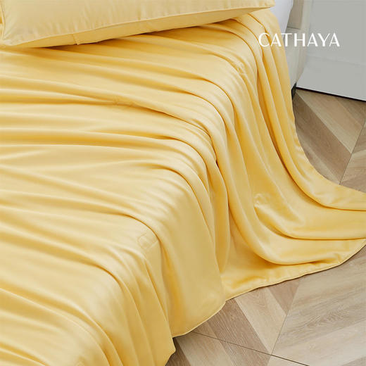 CATHAYA/凯喜雅 黄金茧夏凉被 真丝蚕丝被150*200cm抑菌 透气助眠[福利品] 商品图4