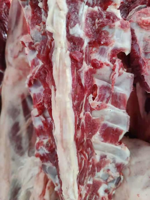 滦平山区放养黄牛肉 商品图2