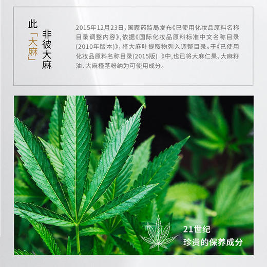 【已下架】【双十一48小时限时秒杀】Snowby/希碧 大麻植萃洗发水舒缓排浊防脱抗衰300ml 两瓶装 [B类] 商品图2