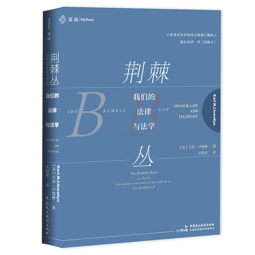 麦读译丛 | 荆棘丛：我们的法律与法学（法律人床头经典） 商品图1