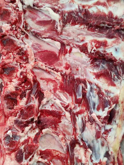 滦平山区放养黄牛肉 商品图1