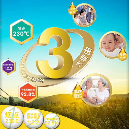 积分换购 | 苍茫谣芥花油4L*1一级菜籽油非转基因物理压榨食用油桶装[福利品] 商品图3