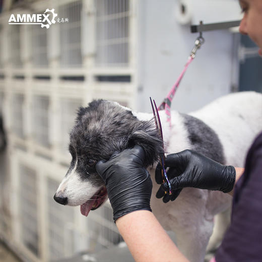 【进口 耐用型】【10盒装】一次性黑色丁腈手套（无粉 微麻面）GPNBC 商品图4