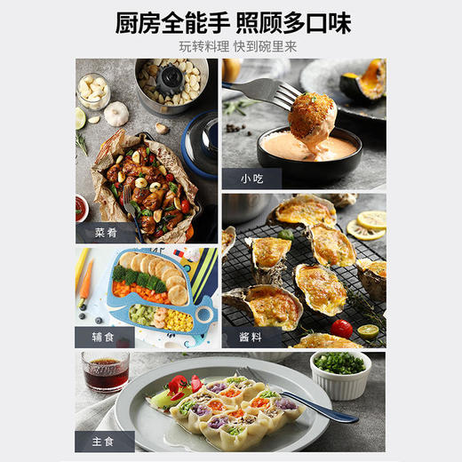 【50代金券】Morphy Richards/摩飞 绞肉机 家用电动小型多功能料理机不锈钢搅拌机MR9401A [福利品] 商品图4