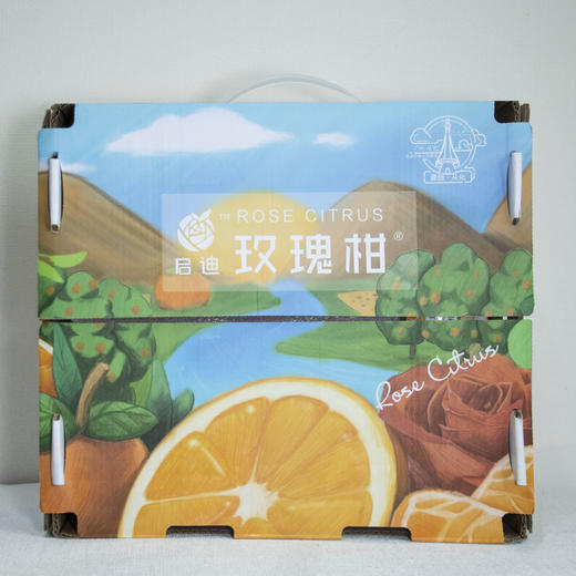 广东广州玫瑰柑 超甜超大柑橘 精选柑橘 新鲜采摘 当季水果 清甜多汁 商品图6