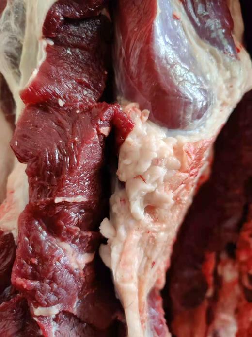 滦平山区放养黄牛肉 商品图3